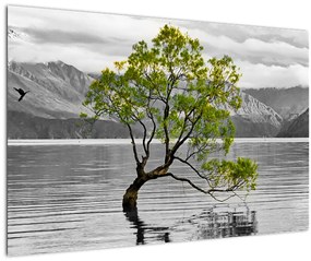 Obraz stromu uprostred jazera (90x60 cm)