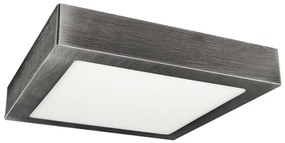 LED Stropné svietidlo LED/24W/230V 3800K 29,8 cm
