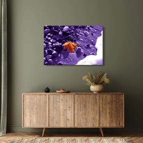 Obraz - Morská pláž (90x60 cm)