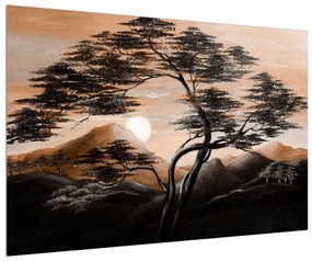 Obraz stromu, hôr a slnka (90x60 cm)