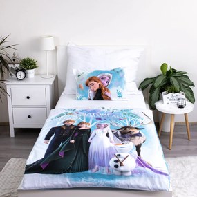 Jerry Fabrics Obliečky do postieľky 100x135 + 40x60 cm - Frozen "Blue 03"