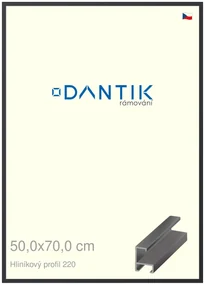 DANTIK rám na obraz 50x70 | ALU Černá matná (Plexi Čiré)