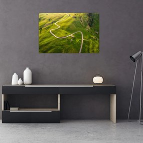 Obraz - Náhorná lúka (90x60 cm)