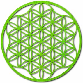 Obraz mandala na stenu z preglejky do 120 cm: Prírodná preglejka - Topoľ  natural Rozmer 50 cm 3964-49819 PR0337