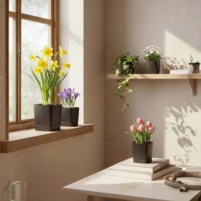 Plastový květináč s podmiskou Cubi 19x19 cm - výber z 6 prevedení