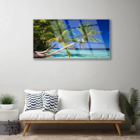 Obraz na skle Palma strom more krajina 100x50 cm