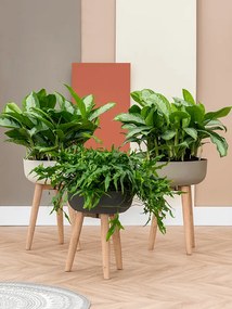 Refined Retro with feet Argon natural white 36x48 cm