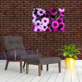 Sklenený obraz - Kvety (70x50 cm)