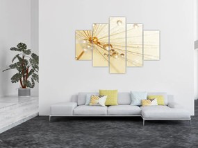 Obraz - Makro fotografie púpavy (150x105 cm)