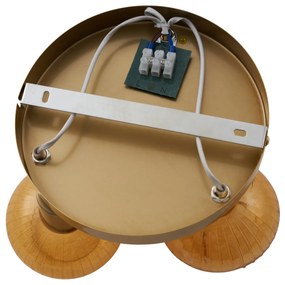 Moderné stropné bodové svetlo zlaté s okrúhlym jantárovým sklom 3-svetlo - Teddy