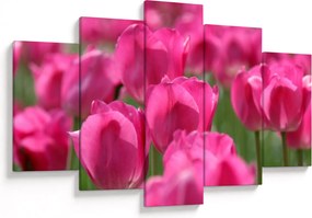Obraz - Ružové tulipány (150x105 cm)