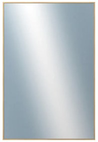 DANTIK - Zrkadlo v rámu, rozmer s rámom 40x60 cm z lišty Hliník dub (7273514)