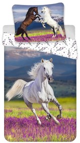 Jerry Fabrics Bavlnené obliečky 140x200 + 70x90 cm - Kôň "Meadow"