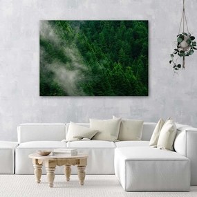 Obraz na plátně Zelený mlžný les Příroda - 100x70 cm