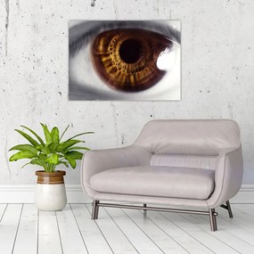 Sklenený obraz - Oko (70x50 cm)