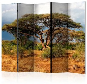 Paraván - Samburu National Reserve, Kenya II [Room Dividers]