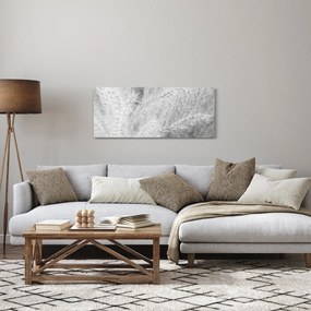 Obraz - Pampas grass N⁰1 (120x50 cm)