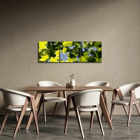 Obraz - javorové listy (s hodinami) (90x30 cm)