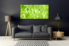 Obraz na akrylátovom skle Listy príroda 120x60 cm
