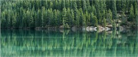 Obraz - Ihličnany pri jazere (120x50 cm)