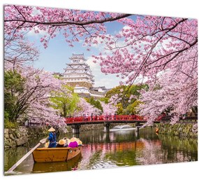Sklenený obraz japonskej čerešne (70x50 cm)