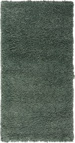 My Flair, Kusový koberec My Shaggy hellgrün, 160x230, zelená, chodba / predsieň