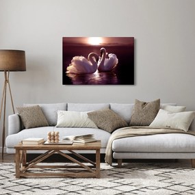 Obraz - Labute na jazere (90x60 cm)