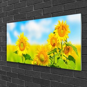 Skleneny obraz Slnečnica kvety príroda 125x50 cm