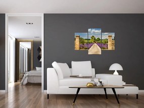 Obraz - Levanduľové cesty (90x60 cm)