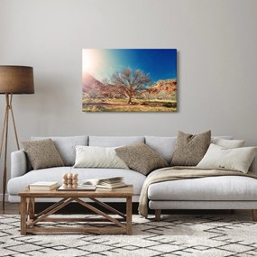 Obraz stromu v púšti (90x60 cm)
