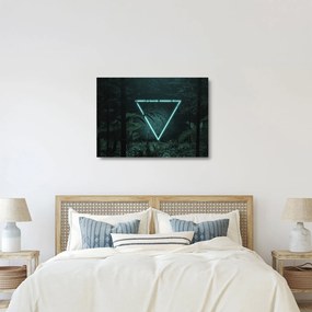 Sklenený obraz - Neónový trojuholník v jungli (70x50 cm)