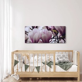 Obraz - Magnolie (120x50 cm)