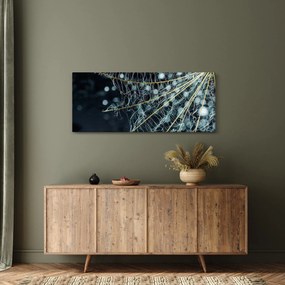 Obraz -Kvet s pavučinou (120x50 cm)