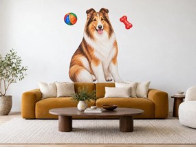 Usmievavá kólia s loptičkou a kosťou realistické textilné dekorácie na stenu arch 30 x 46 cm