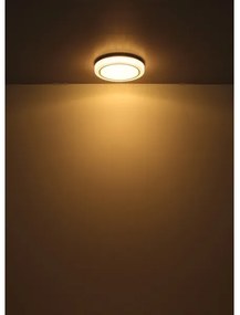 Globo 41265 - LED Stropné svietidlo LIAMI LED/24W/230V pr. 40 cm 3000K biela