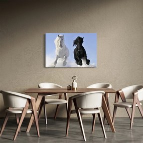 Obraz - Kone v zime (90x60 cm)