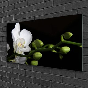 Skleneny obraz Kvet rastlina príroda 120x60 cm