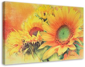 Obraz na plátně Slunečnice žlutá - 100x70 cm
