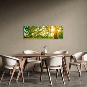 Obraz - Slnečný les (s hodinami) (90x30 cm)