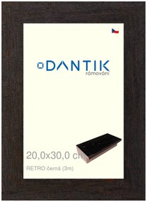 DANTIK rám na obraz 20x30 | RETRO černá (Sklo Čiré)