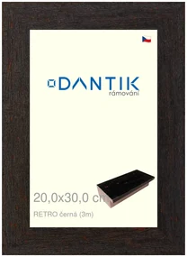 DANTIK rám na obraz 20x30 | RETRO černá (Sklo Čiré)