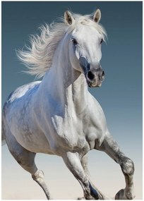 Fleecová deka Biely kôň v cvale - 100 x 140 cm