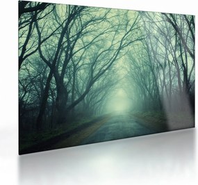 Sklenený obraz - Cesta s alejou stromov (70x50 cm)