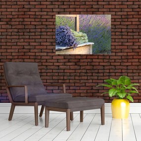 Obraz - Levanduľové zväzky (70x50 cm)