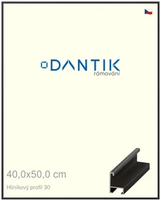 DANTIK rám na obraz 40x50 | ALU Dýha černá (Sklo Čiré)