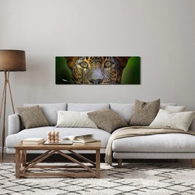 Obraz - Portrét leoparda, Sri Lanka (s hodinami) (90x30 cm)