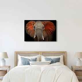 Obraz - Slony z Tsavo (90x60 cm)