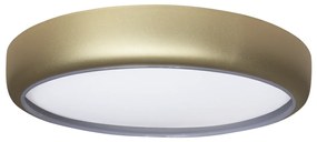 Stropné LED svietidlo Gea, 1x LED 36w, 3000-6000k, g, s ovládačom