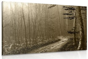 Obraz sépiová cestička do lesa - 120x80