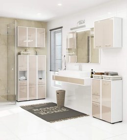 Kúpeľňová skrinka FIN 2D 1SZ 1W cappuccino, lesk